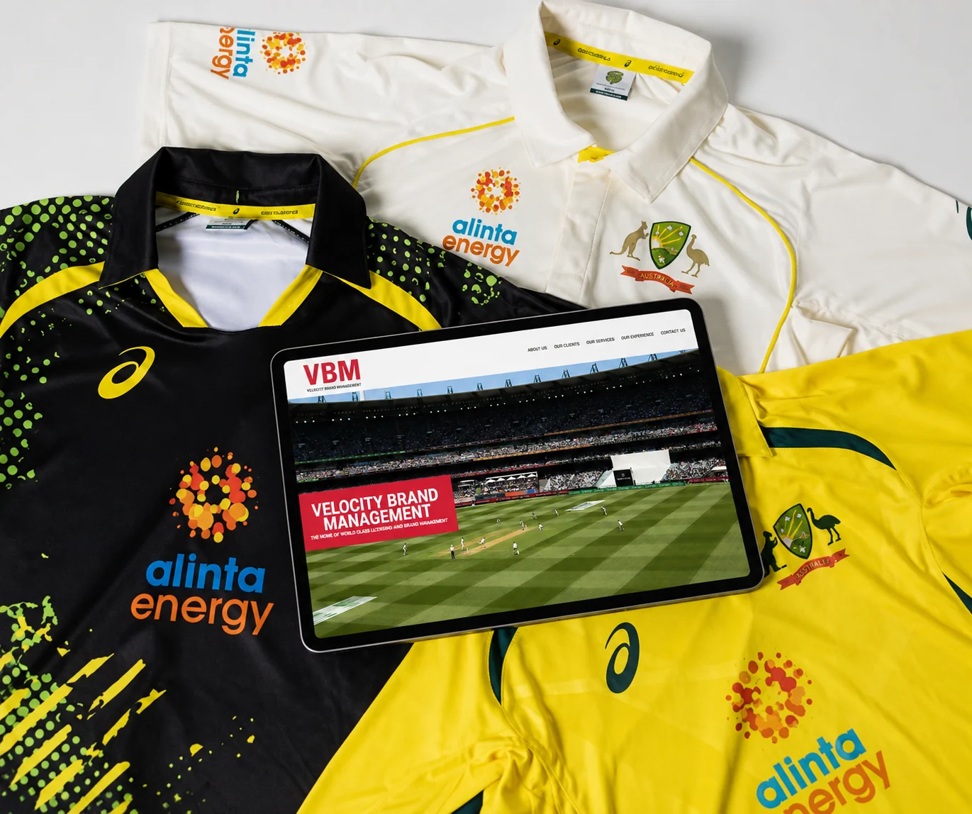 The Velocity Brand Management website